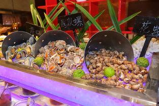 广西柳州酒吧吃瓜视频,揭秘柳州夜生活一景