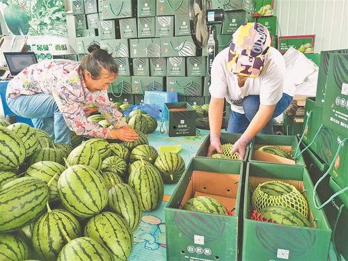 山西大宁县吃瓜事件视频,山西大宁县“吃瓜事件”引发社会关注