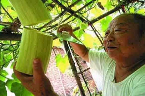 砍瓜怎么砍着吃视频教学,砍瓜新吃法，轻松解锁美味新境界